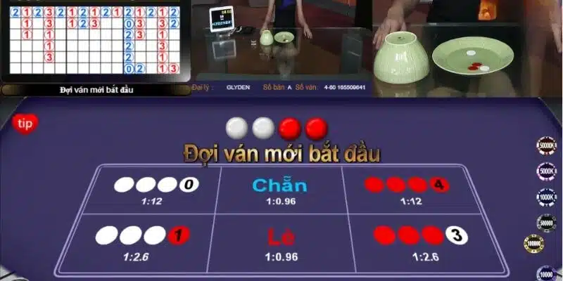 Hướng dẫn chi tiết các bước chơi xóc đĩa cho người mới bắt đầu